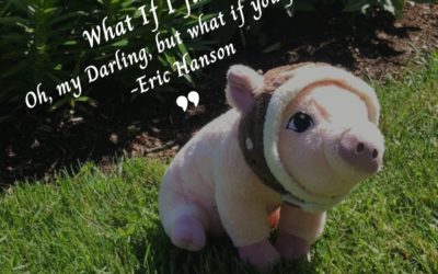 How to Get Out of Your Comfort Zone…Embrace “When Pigs Fly”