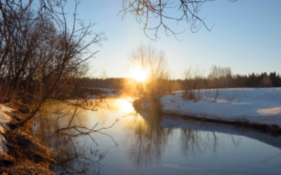 The Sun Causes 90% of External Aging