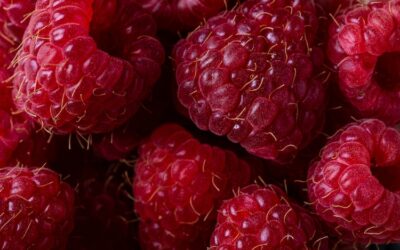 The Audacity of Organic Raspberries